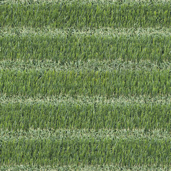 Farmland0060 - Free Background Texture - ground terrain farmland crop